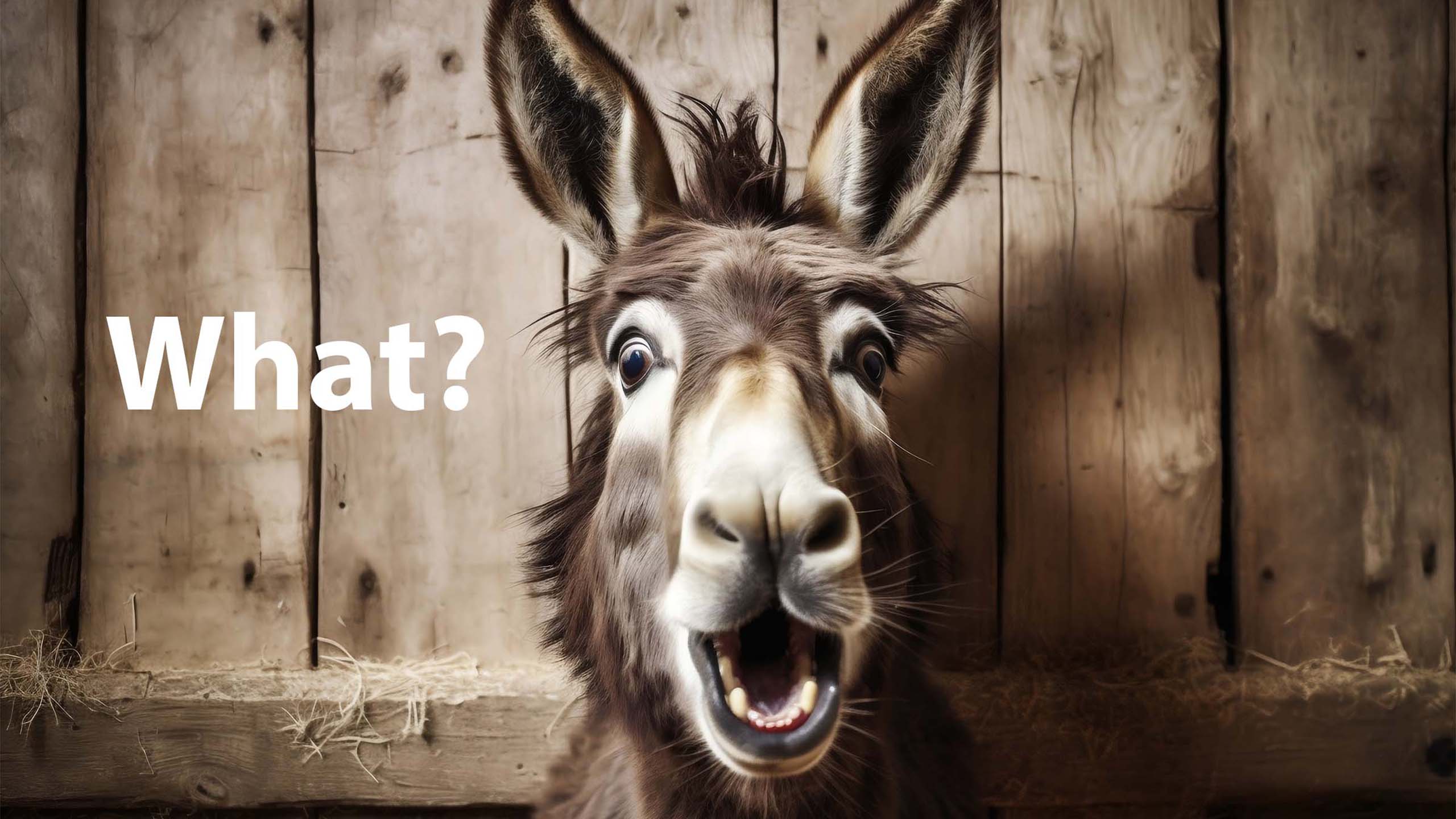 Donkey surprised with his mouth open?