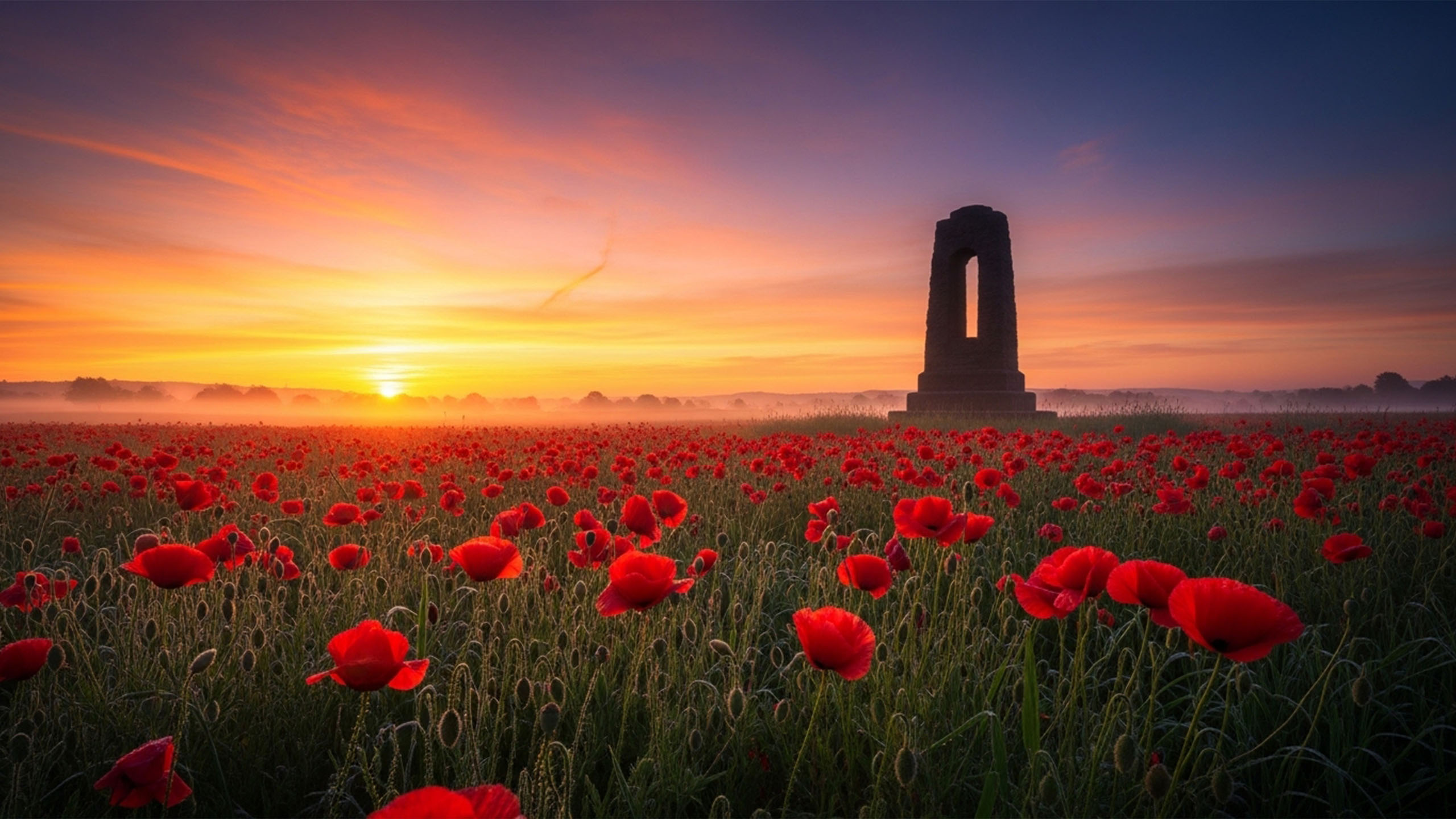 Sunrise over a field of red poppies with a lone memorial silhouette