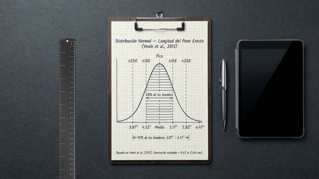 Una regla metálica junto a un portapapeles con una curva de distribución estadística, representando los datos clínicos del meta-análisis de tamaño del pene de 2015 con 15.521 hombres.