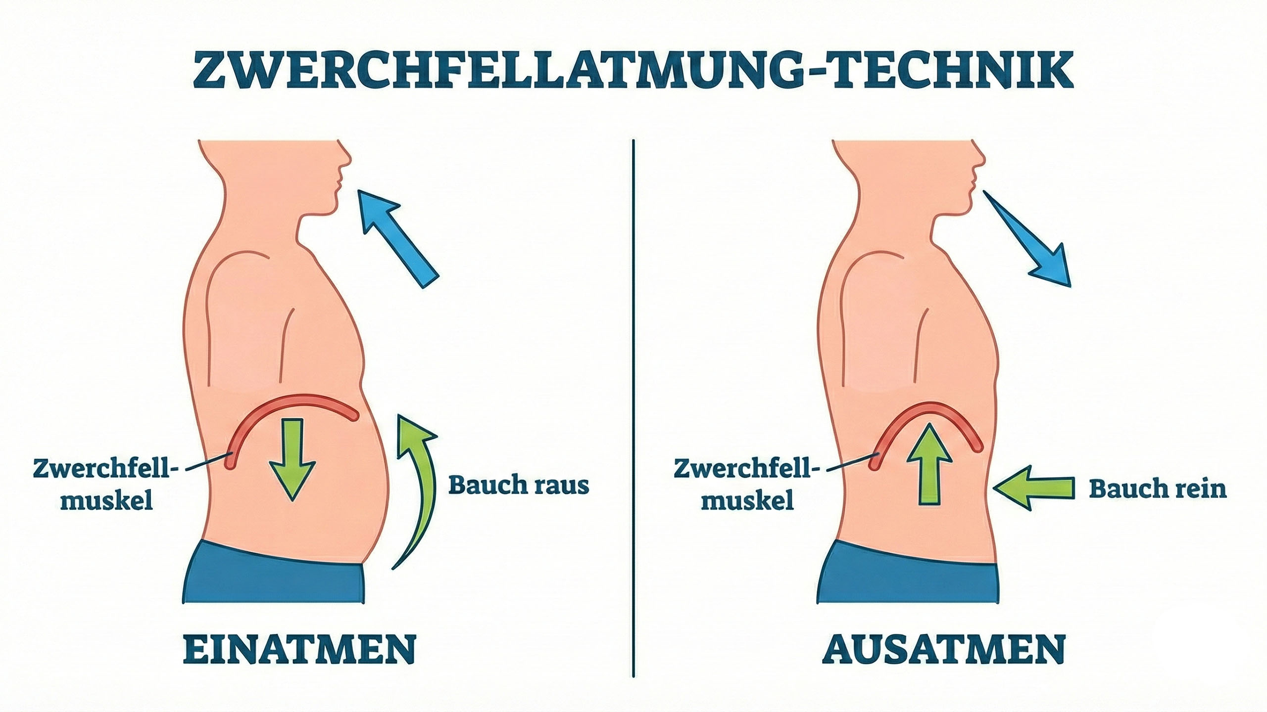 Illustration der diaphragmalen Atemtechnik