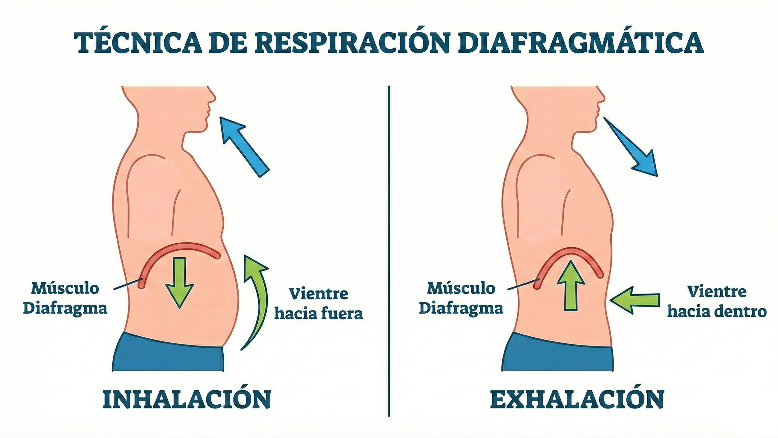 Ilustración de la técnica de respiración diafragmática