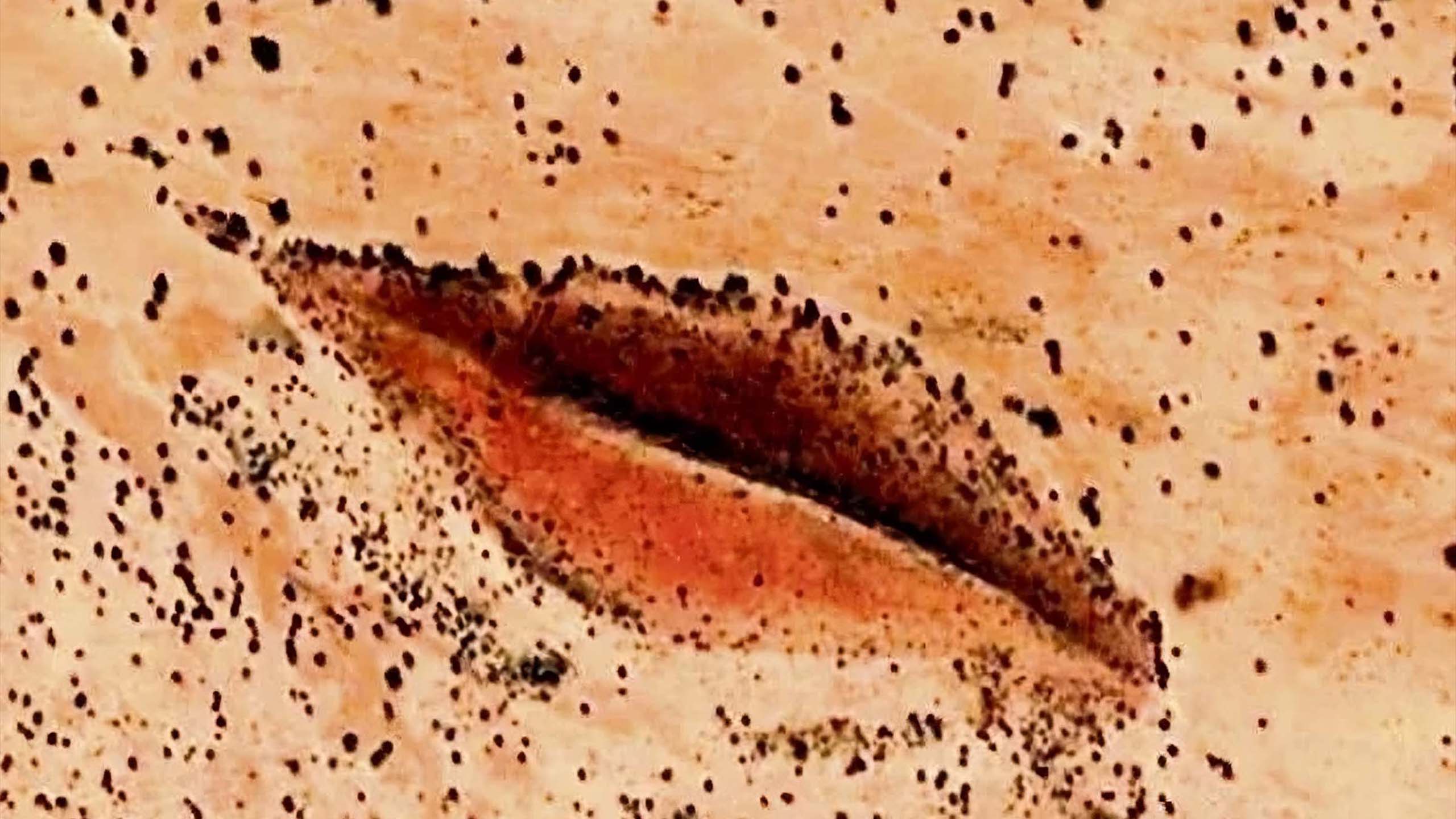 Formation rocheuse de grès dans le désert de Darfour ressemblant à l’anatomie féminine, illuminée au coucher du soleil.