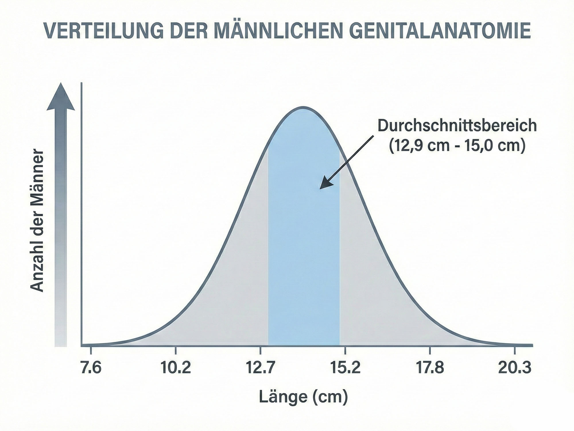 eine Glockenkurve, die die Verteilung männlicher Genitalanatomie illustriert