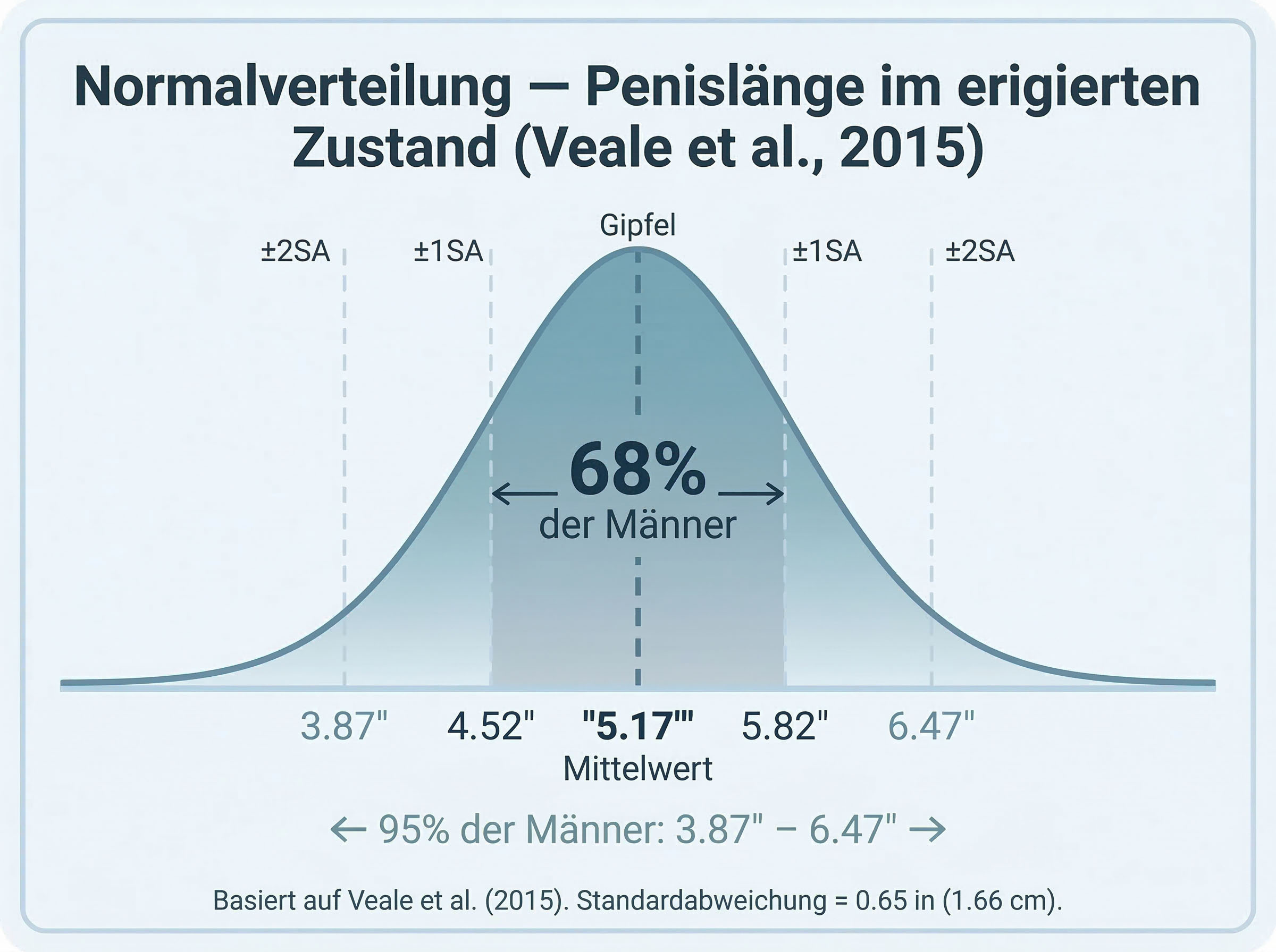 Glockenkurve: Normalverteilung der erigierten Penislänge.