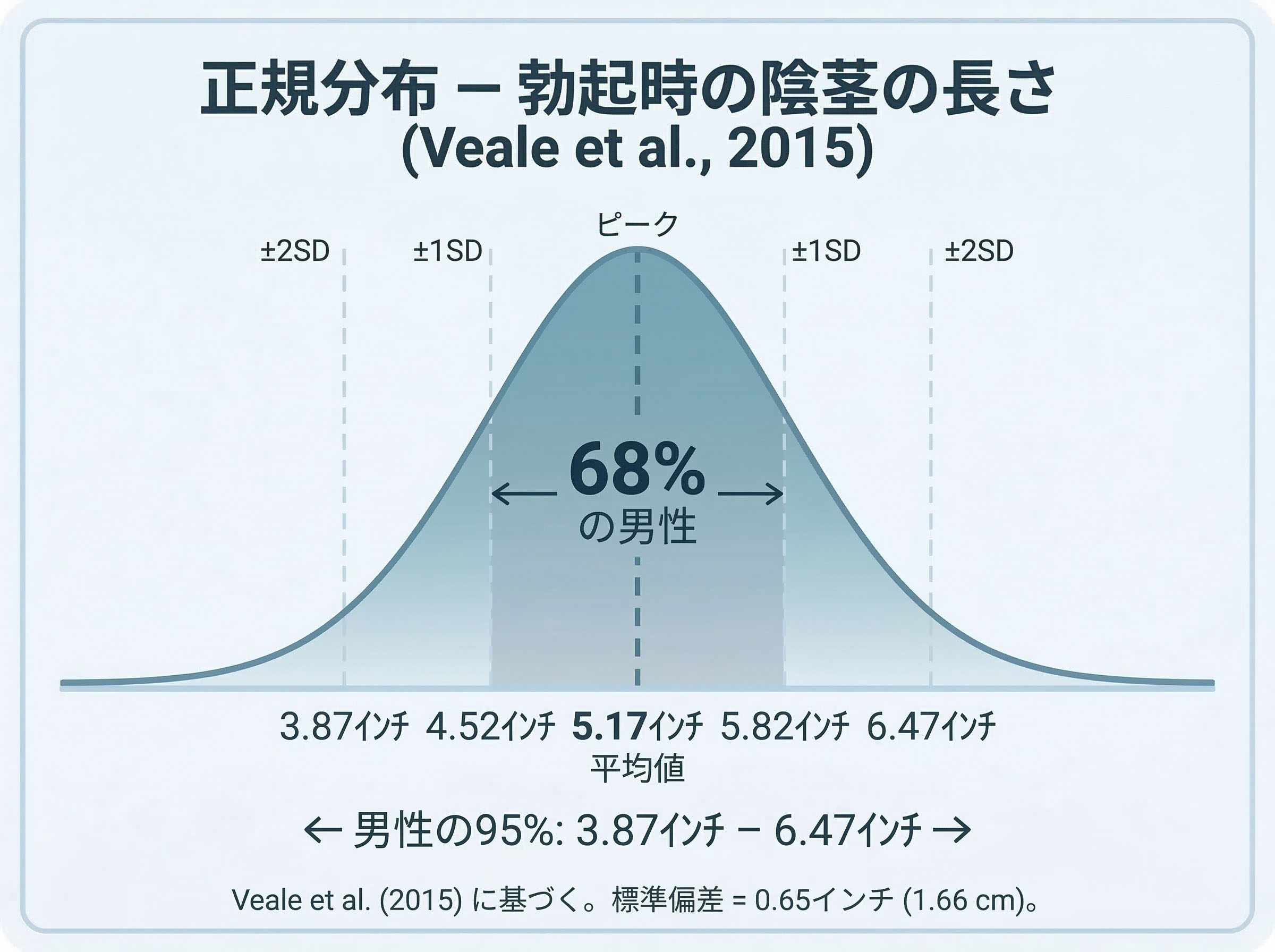 鐘形曲線: 勃起時の陰茎の長さの正規分布