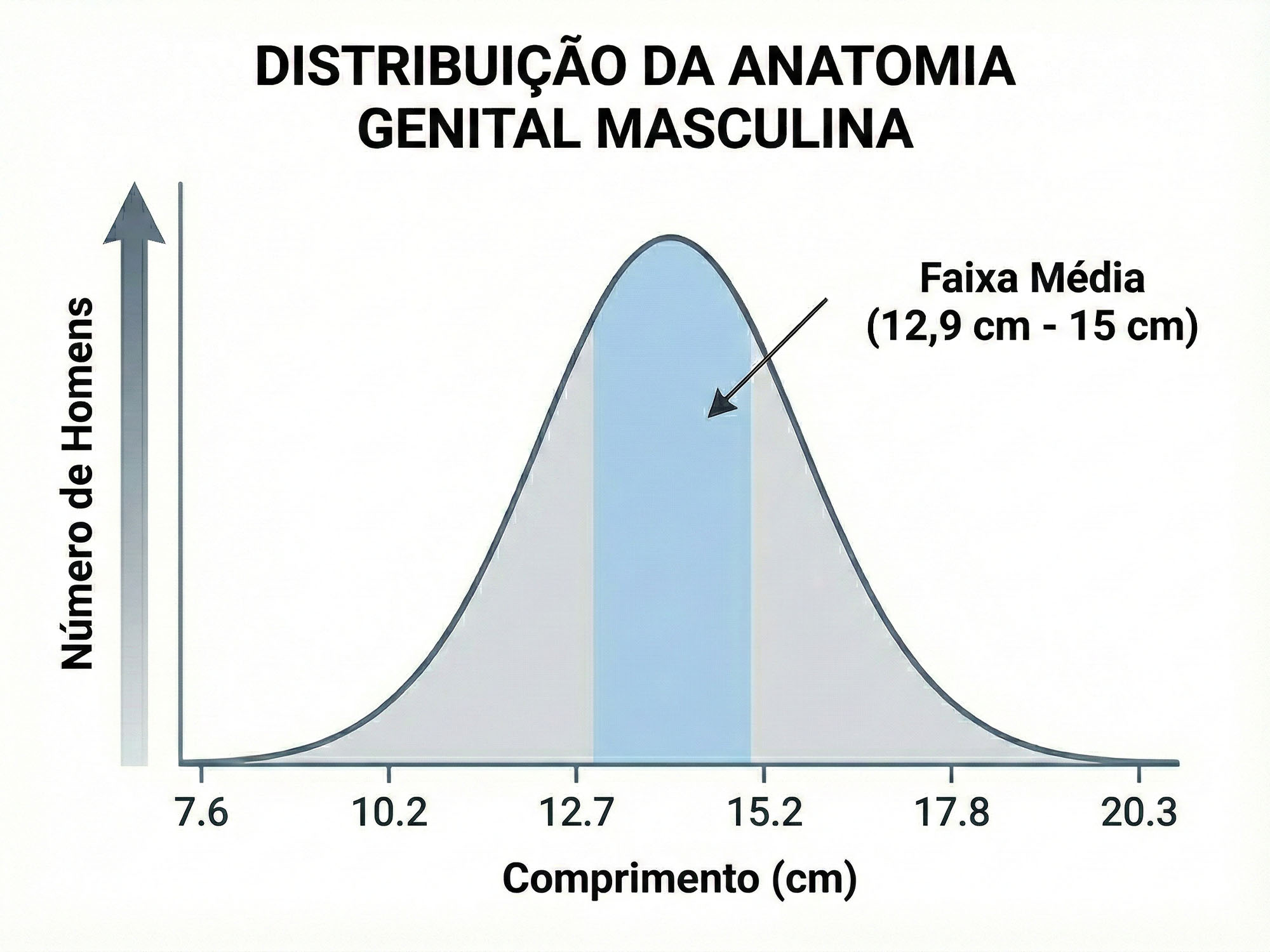 um diagrama de curva em sino ilustrando a distribuição da anatomia genital masculina