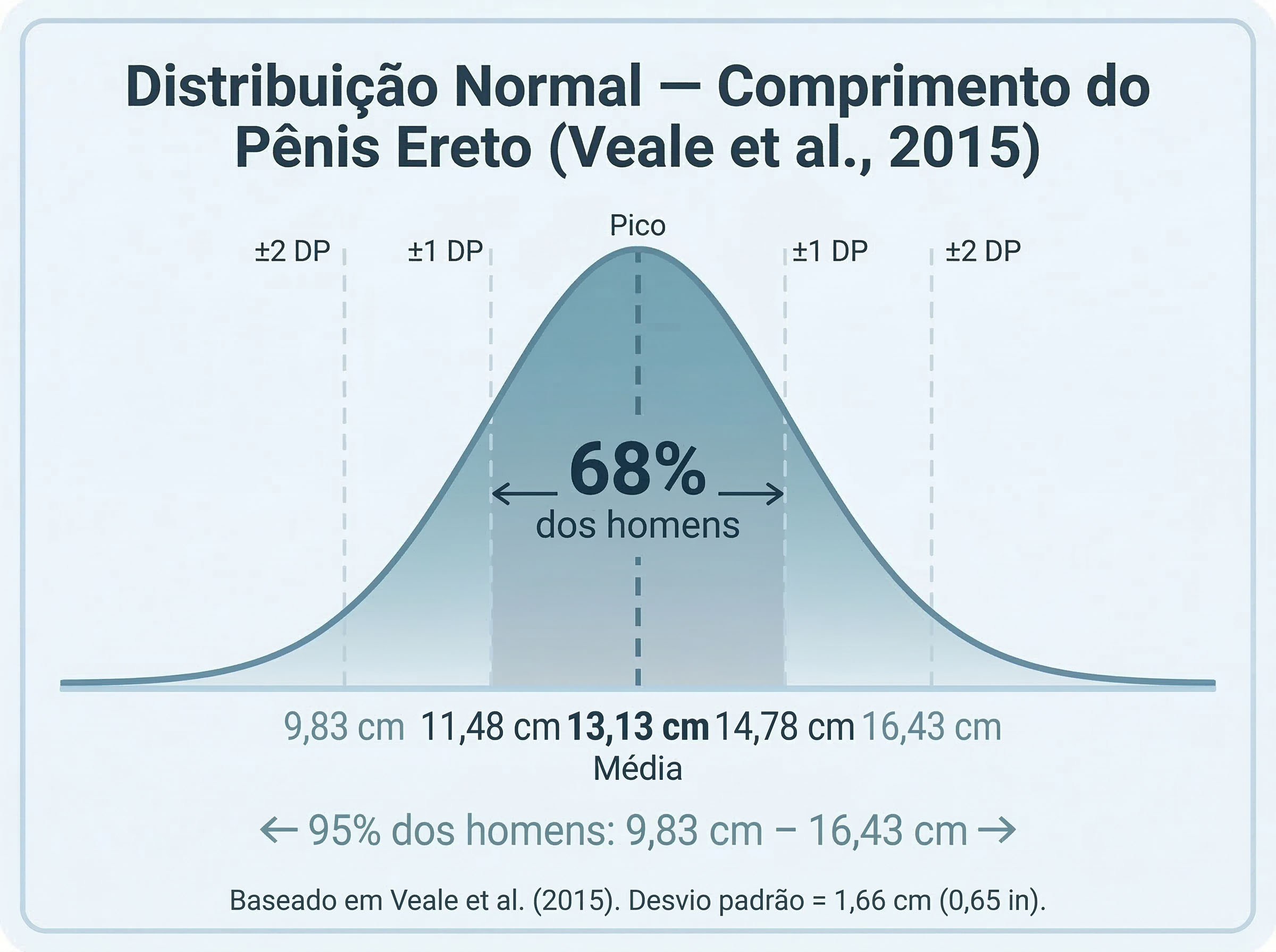 Curva de Sino: Distribuição normal do comprimento peniano ereto.