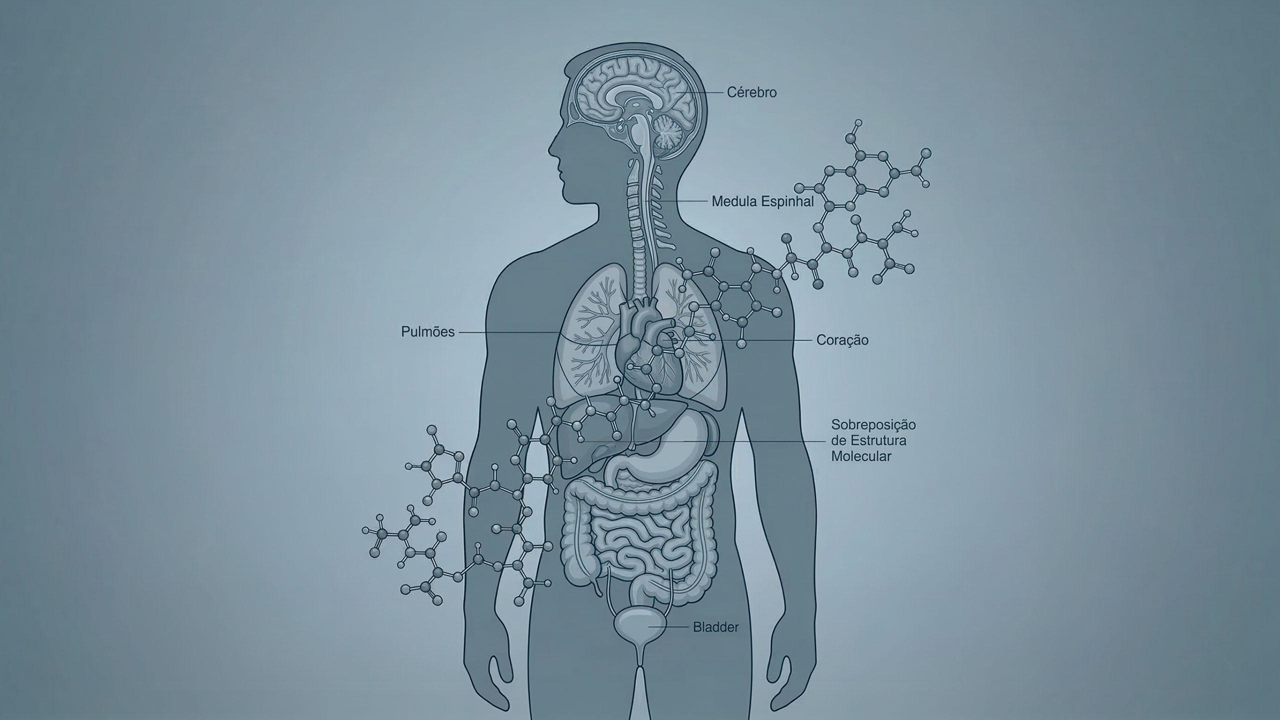 Ilustração de uma figura masculina sobreposta à estrutura molecular de microplásticos, representando a previsão de declínio dos níveis de testosterona até 2050.