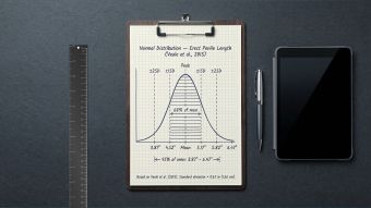 A steel ruler beside a clipboard showing a statistical bell curve — representing clinical data from the 2015 penile size meta-analysis of 15,521 men.
