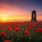 Lever de soleil sur un champ de coquelicots avec la silhouette d’un mémorial