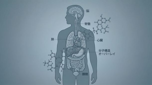 マイクロプラスチックの分子構造を重ね合わせた男性像のイラスト。これは、2050年までに予測されるテストステロンの減少を表している。
