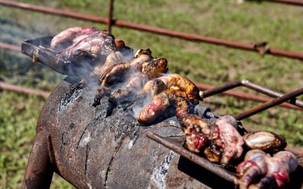 Smoked Rocky Mountain Oysters being cooked on a farm