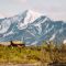 A Guide to Rocky Mountain Oysters