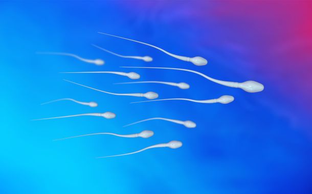 Male Contraceptive Pill a Step Closer Inmobile Sperms