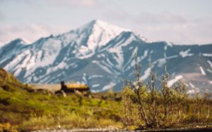 A Guide to Rocky Mountain Oysters