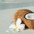 The Beauty Benefits of Coconuts