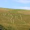 The Cerne Abbas Giant